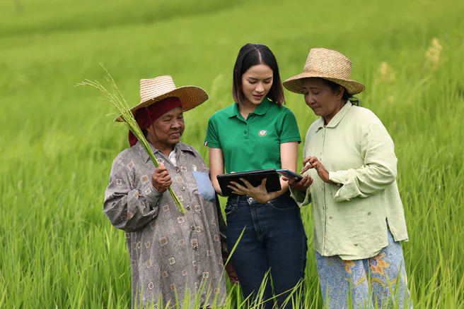 การลงทุนในระบบเทคโนโลยีสารสนเทศ