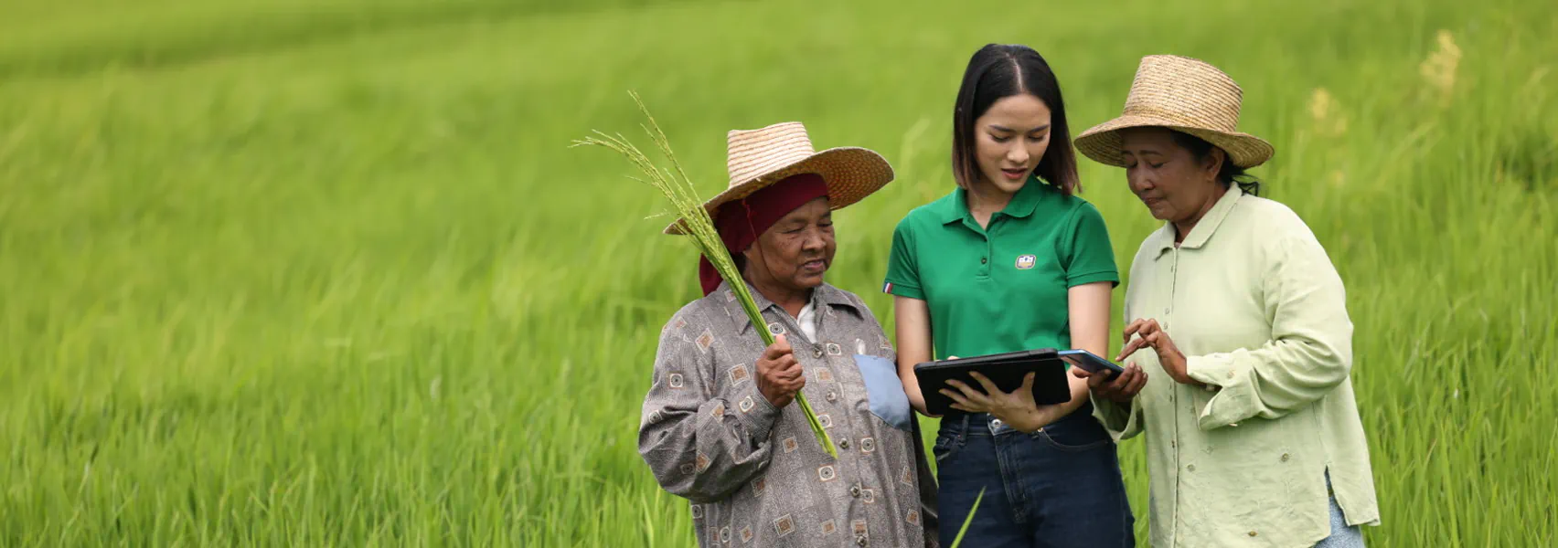 การลงทุนในระบบเทคโนโลยีสารสนเทศ