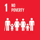 SDG Logo