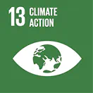 SDG Logo