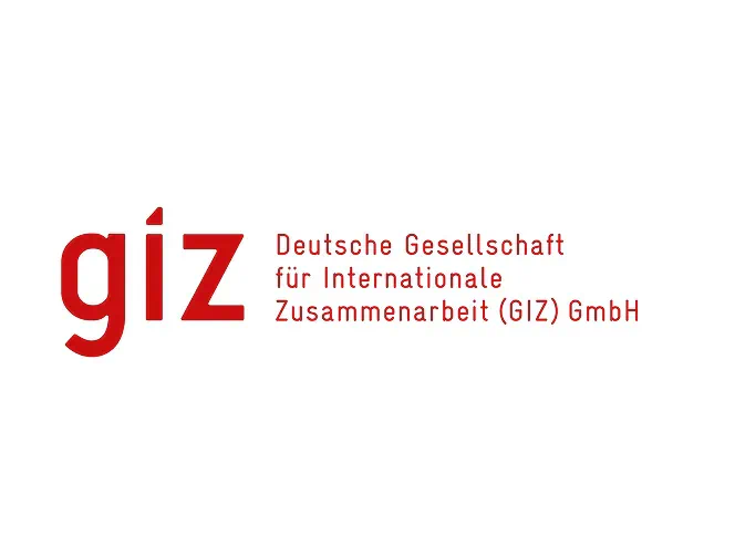 Deutsche Gesellschaft für Internationale Zusammenarbeit (GIZ)