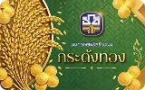 กระด้งทอง