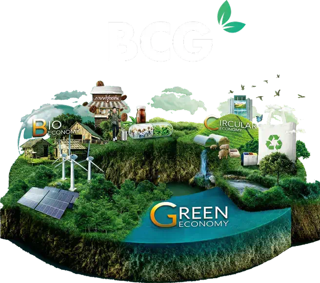 BCG Model