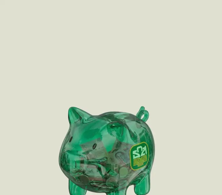 Savings