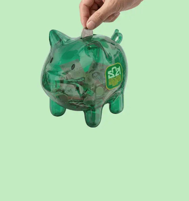 Sustainable Financial Discipline