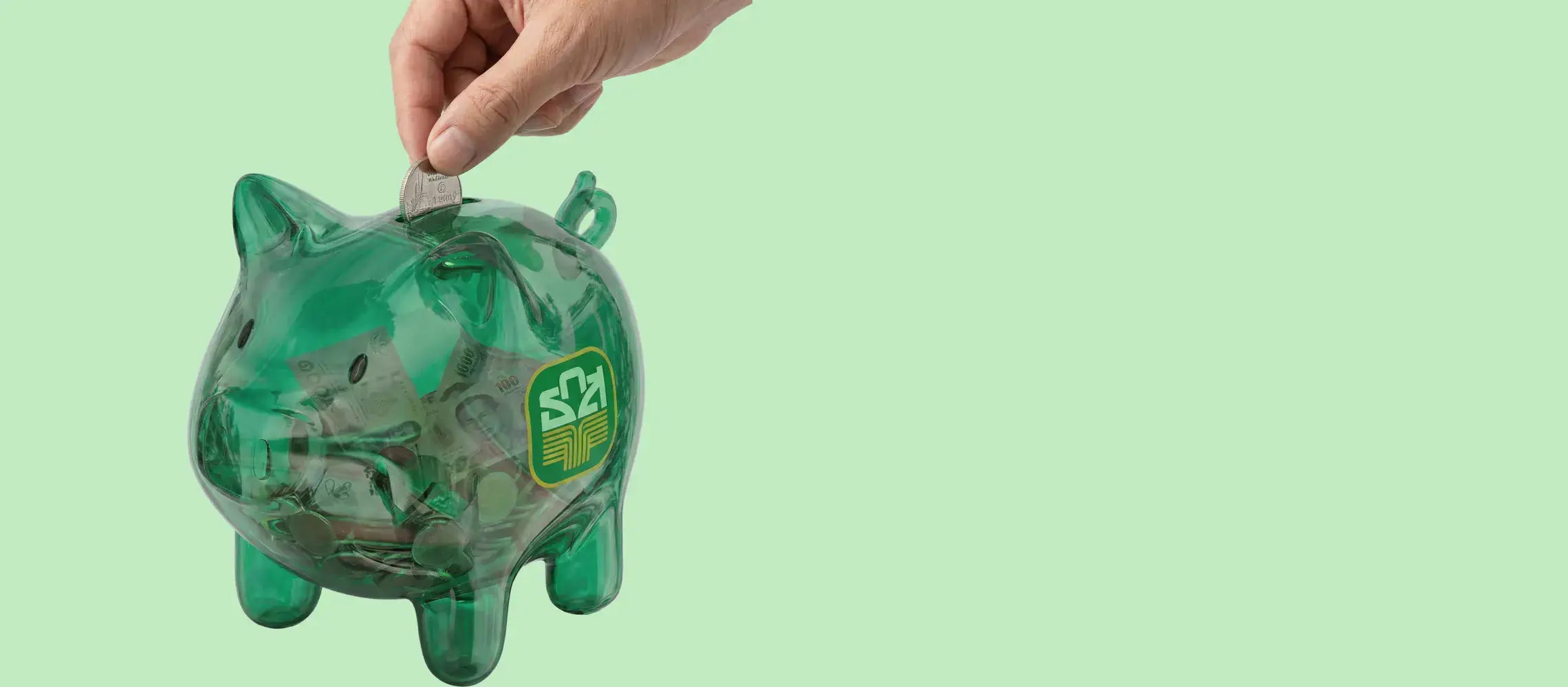 Sustainable Financial Discipline