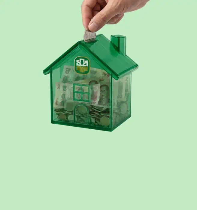 Sustainable Financial Discipline