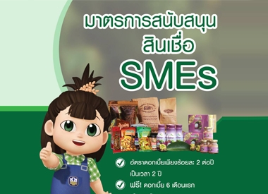 มาตรการสนับสนุนสินเชื่อ SMEs