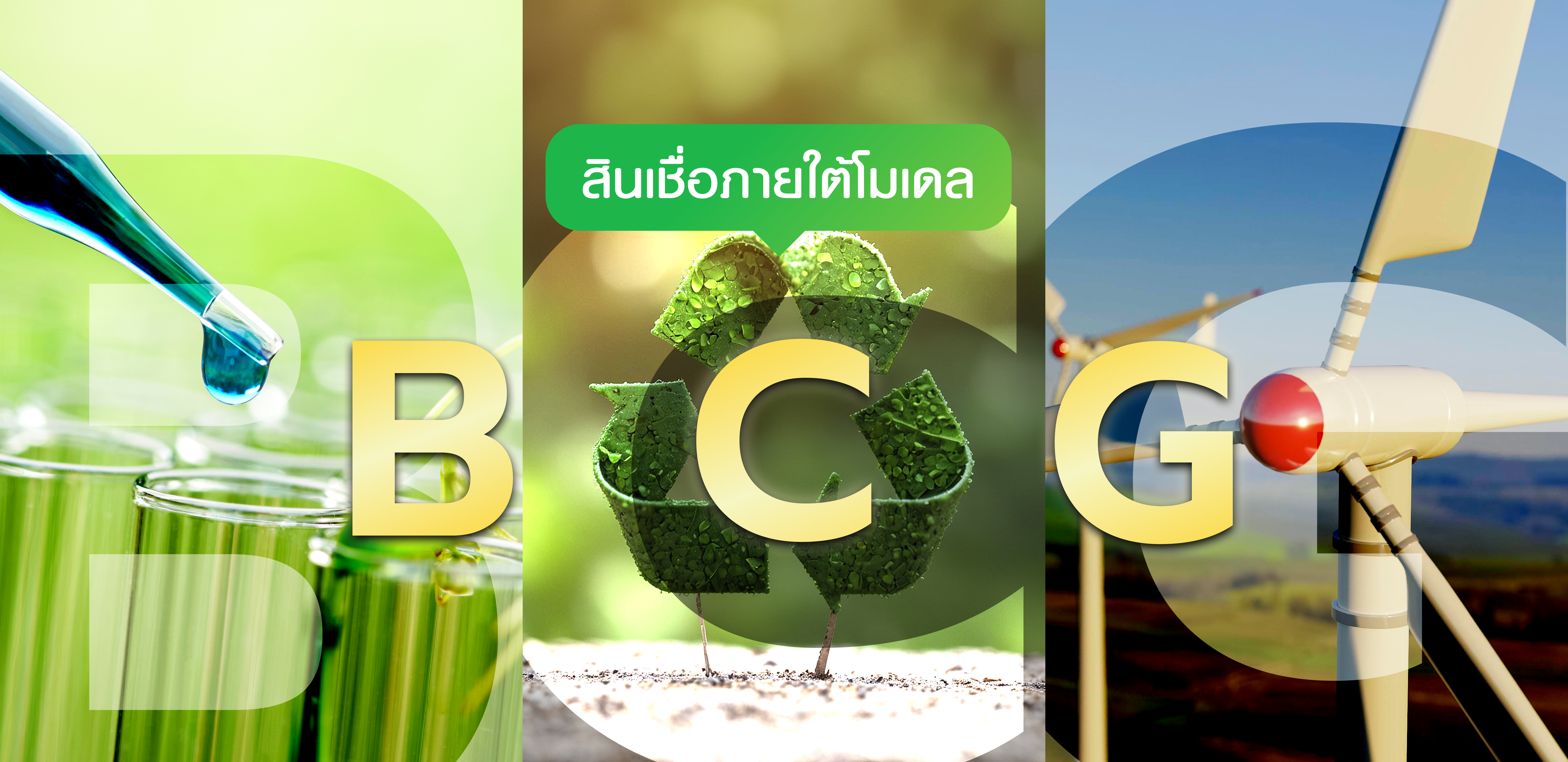 สินเชื่อ BCG