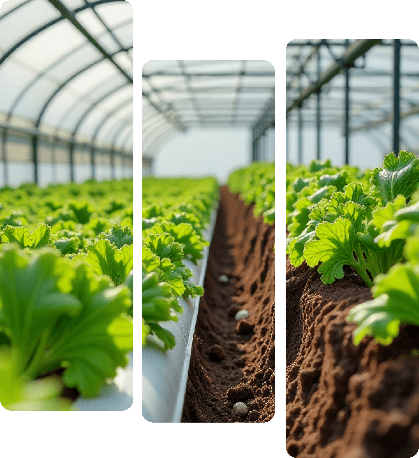 คุณสมบัติผู้ขอกู้