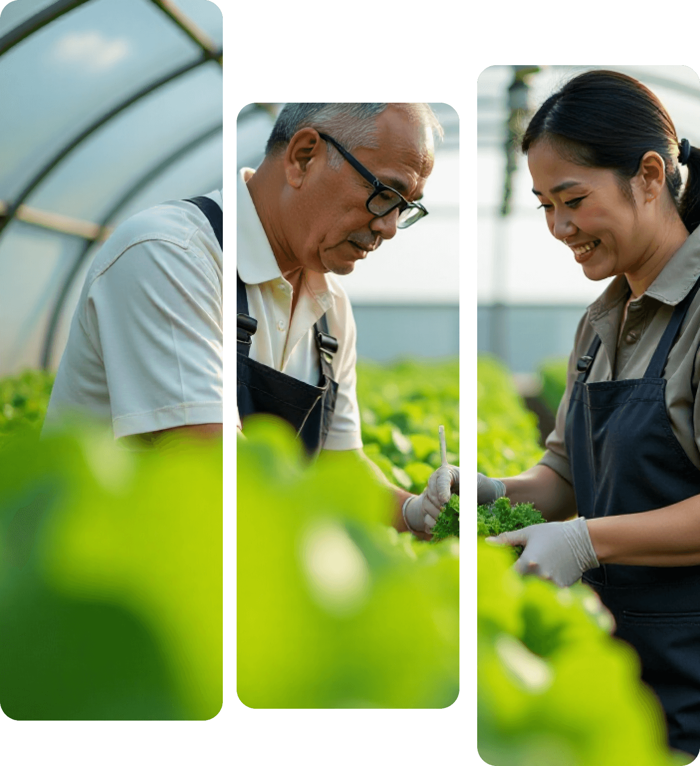 อัตราดอกเบี้ยเงินกู้