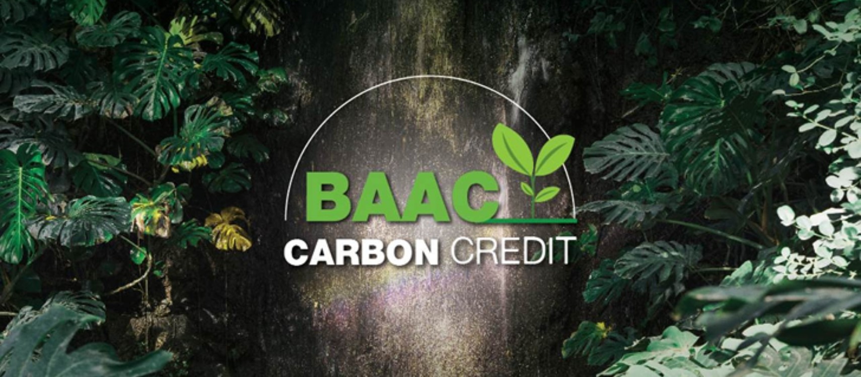โครงการ Carbon Credit