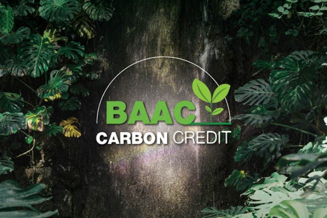 โครงการ Carbon Credit
